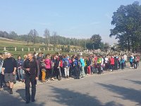 zloty lisc (3)